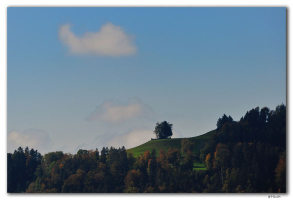 CH1030.Wald.ZH