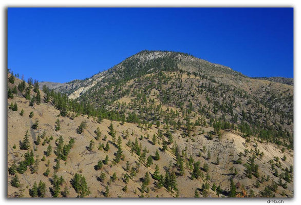 CA0533.Sparsly wooded hills