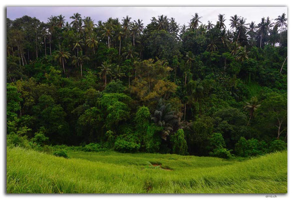 ID0071.Ubud.Tal