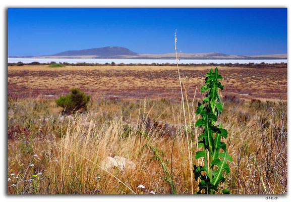 AU1011.Eyre Peninsula.Lake Greenly
