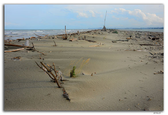 NZ0483.Motueka Sandspit