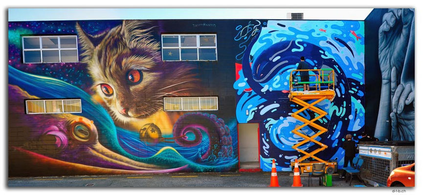 NZ0337.Taupo Streetart by Swift Mantis + Work in progress by Gwil