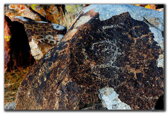 KG0073.Cholpon Ata.Petroglyphen