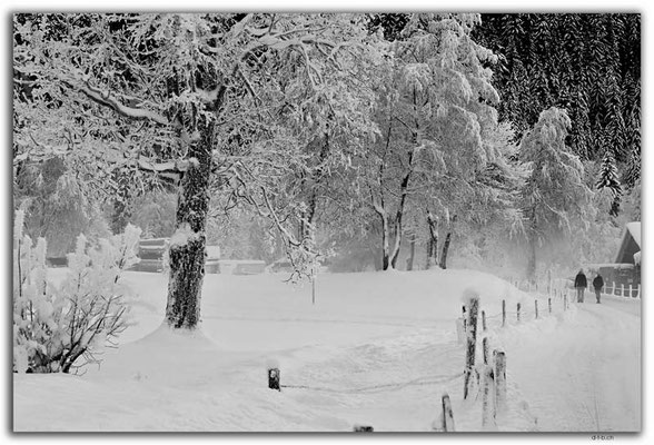GW0656.Landscape in Ice crystals