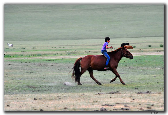MN0067.Orkhon Valley.Nomadenjunge