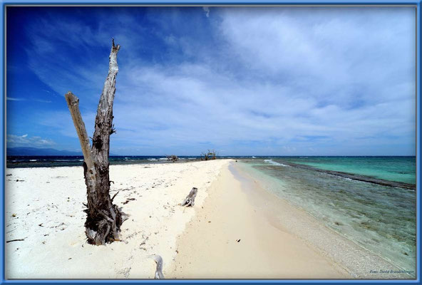 JM123.Lime Cay