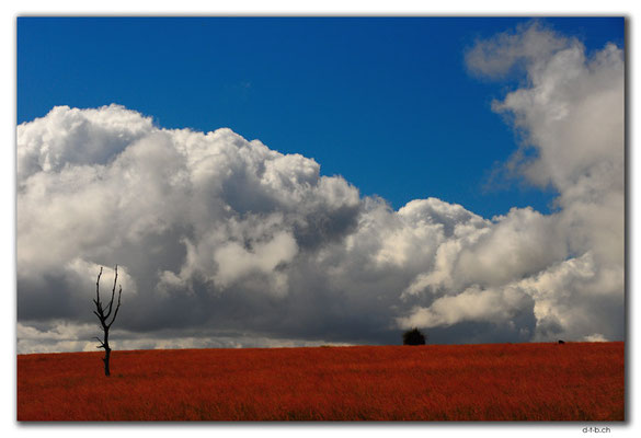 AU0620.Landschaft in Westaustralien und Wolken