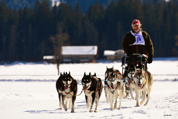CH1382.SH-Rennen Lenk.Lüthi Ueli