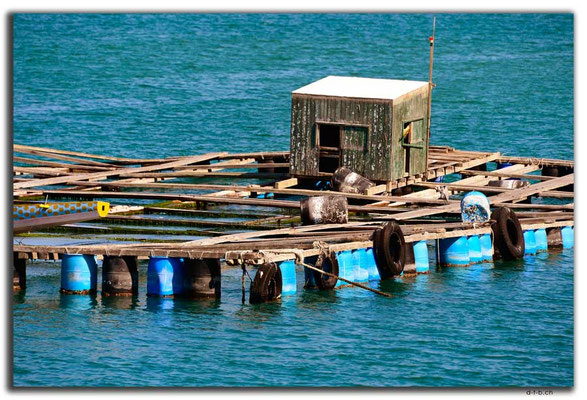 HK0088.Lamma Island.Fischereibetrieb