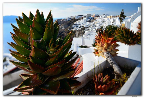 GR0601.Oia