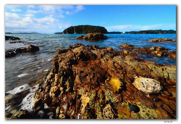 NZ0138.Motuarahi Island