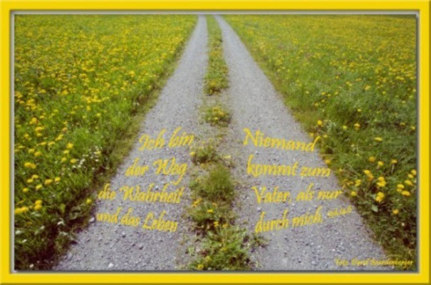 S0040 Löwenzahnstrasse,Klosters,CH.Johannes 14.6
