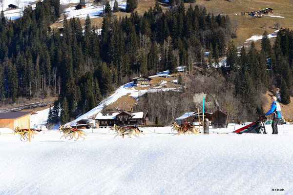 CH1361.SH-Rennen Lenk.