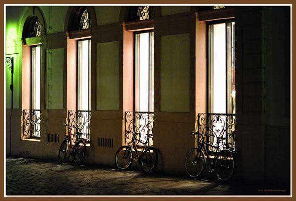 A0595.Velos.Trier.