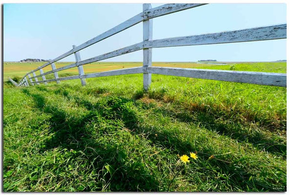 DE088.Hallig Hooge.Zaun