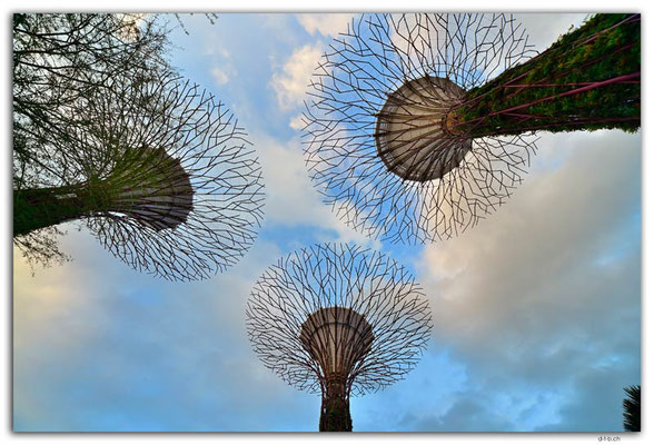 SIN0064.Gardens by the Bay.Supertrees