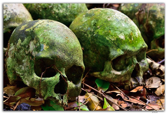 SB0029.Malaita.Skull Island.