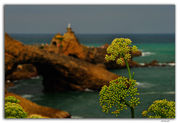 FR0016.Biarritz.Rocher de la Vierge