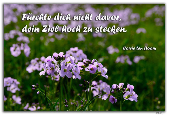 S0305.Grindelwald, Schweiz, Corrie ten Boom