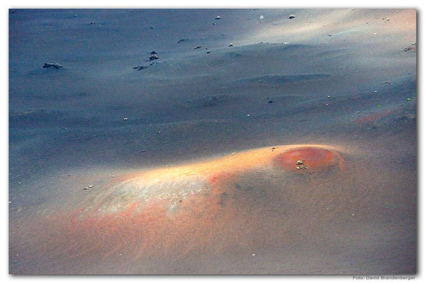 LAN081.P.N.Timanfaya