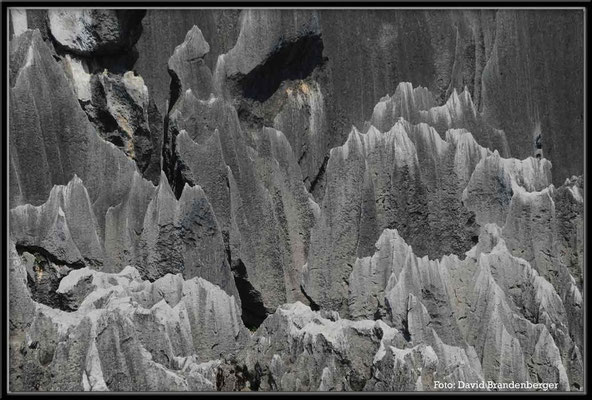 C0879Stone Forest
