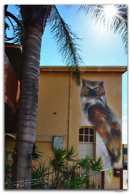 AU1096.Adelaide.Streetart