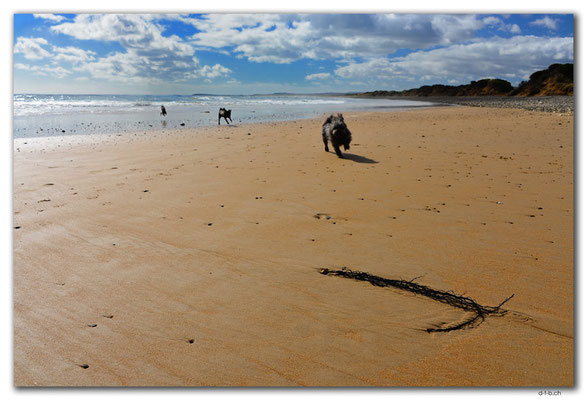AU1265.Devonport.Moorland Beach