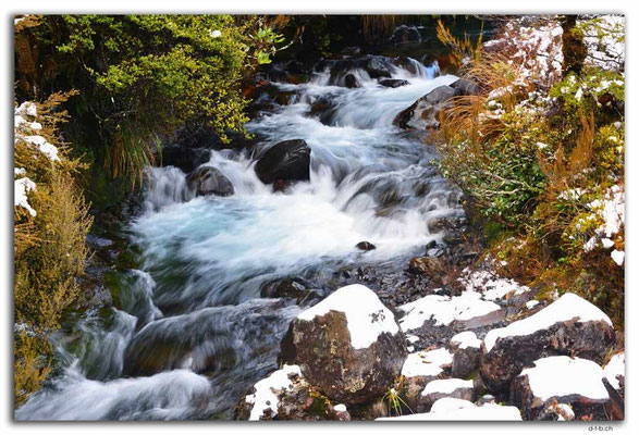 NZ0305.Tongariro N.P.Waikare Stream