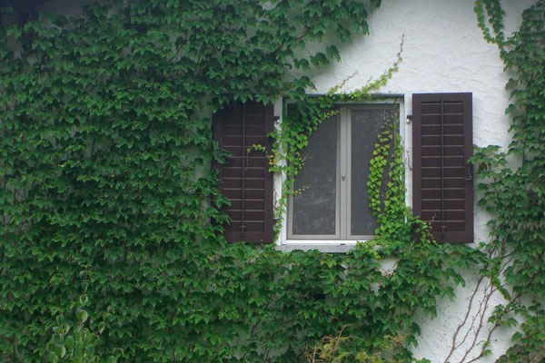 Schweiz,Sevelen1