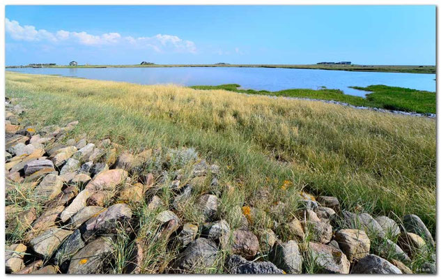 DE086.Hallig Hooge.Warften