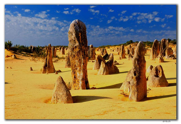 AU0597.Nambung N.P.Pinnacles