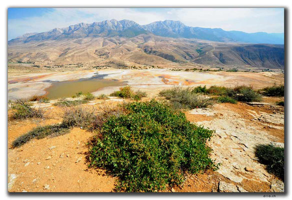 IR0302.Badab Soort
