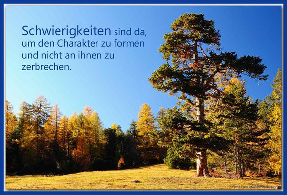 S0166.Nationalpark.CH Text: d-t-b