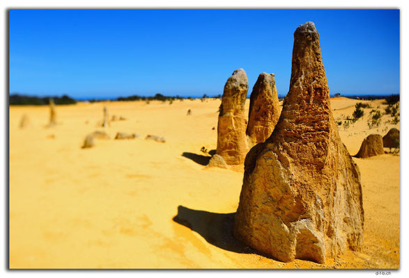 AU0586.Nambung N.P.Pinnacles