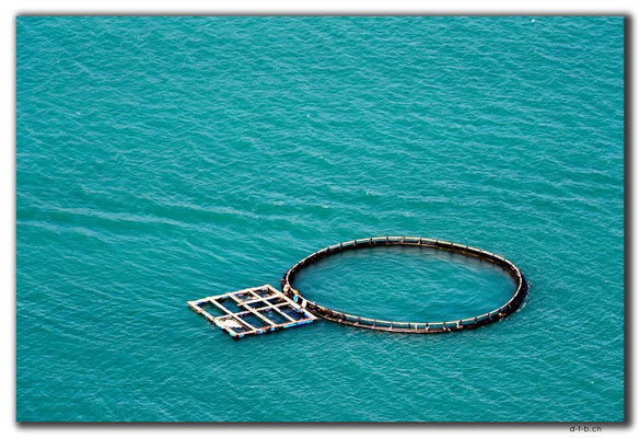 HK0091.Lamma Island.Fischzucht