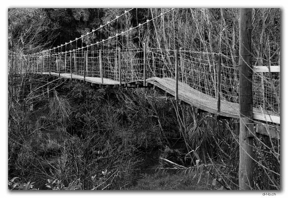NZ0097.Broadwood.Brücke