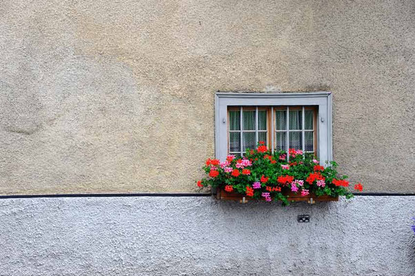 Schweiz,Fürstenaubruck