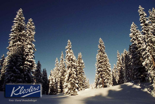 P0030.Wald.Klosters.CH