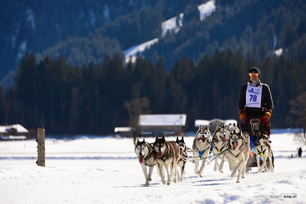 CH1364.SH-Rennen Lenk.Egli Donato
