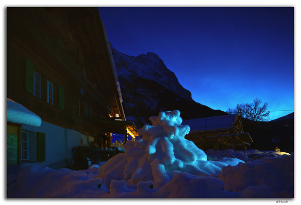 GW0018.Schneetanne und Eiger
