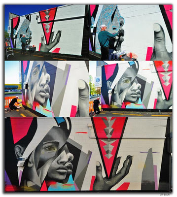 NZ0336.Taupo Streetart by Pauly B!