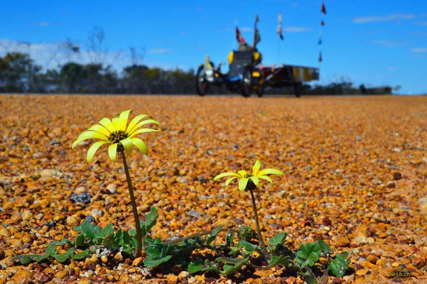 AU:Solatrike im Kalbarri  N.P.