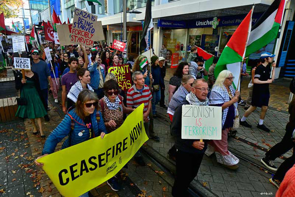 Christchurch. Rally for Palestine