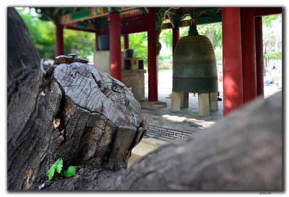 KR0074.Seoul.Doeksugung Palace