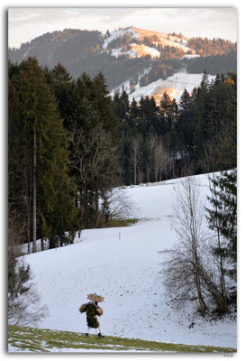 A0891.Silvesterchlausen.Waldstatt