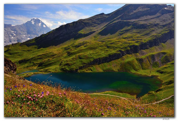GW0379.Bachalpsee