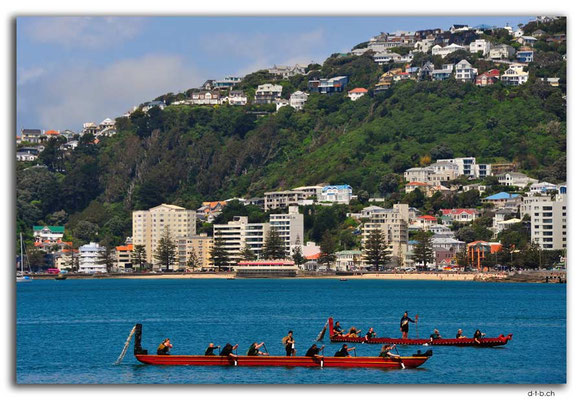 NZ0459.Wellington.Hafen.Begrüssungswakas