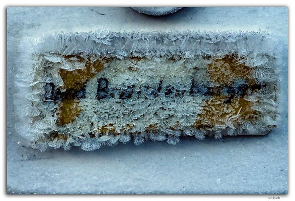 GW0634.Eiskristalle am Namensschild