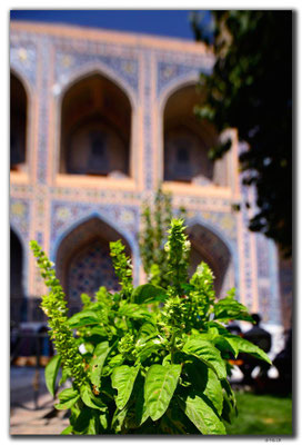 UZ0074.Samarkand.Registan.Ulugbek Medressa