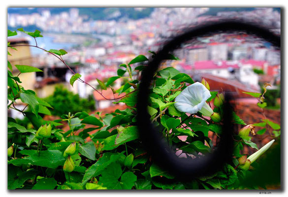 TR0959.Giresun.Altstadt